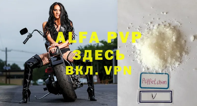 A-PVP СК  Астрахань 